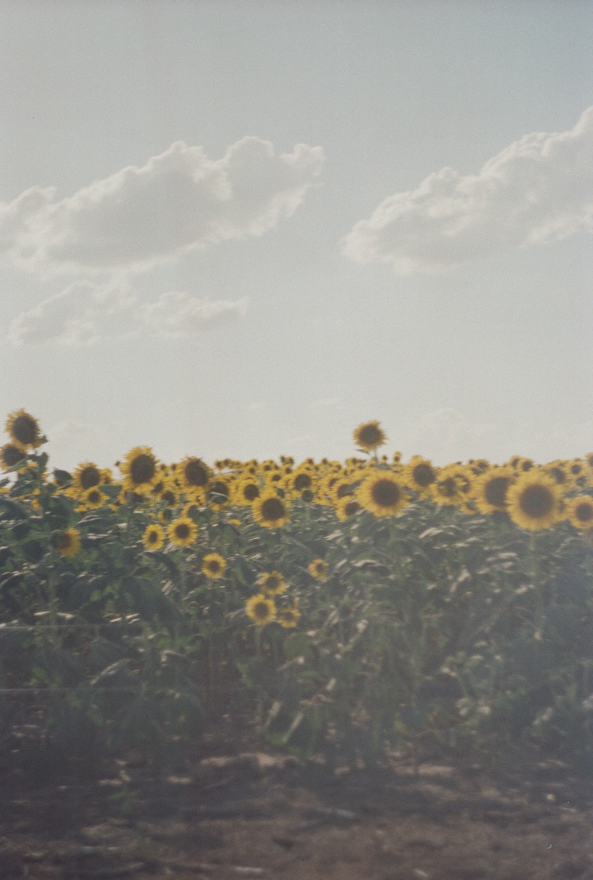 Place
